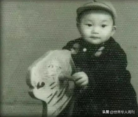 《扫黑风暴》中,孙红雷的演技为什么退步了?