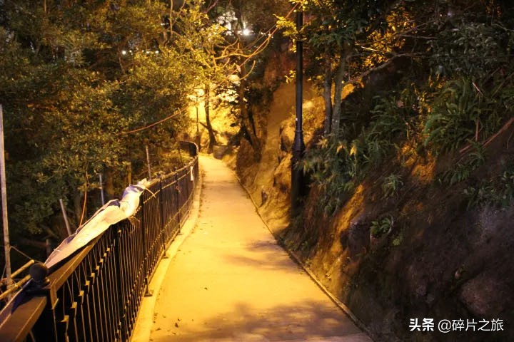 一个人在香港的旅行时光