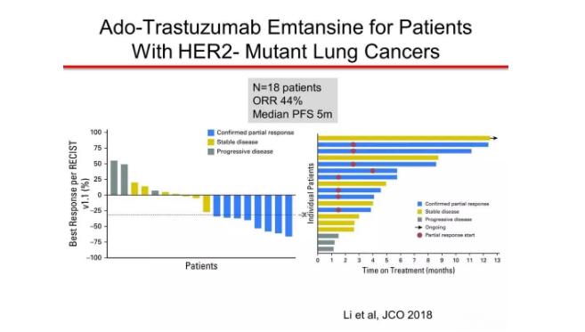 her2肺癌靶向药入集采了吗,肺癌her2靶向药治愈率