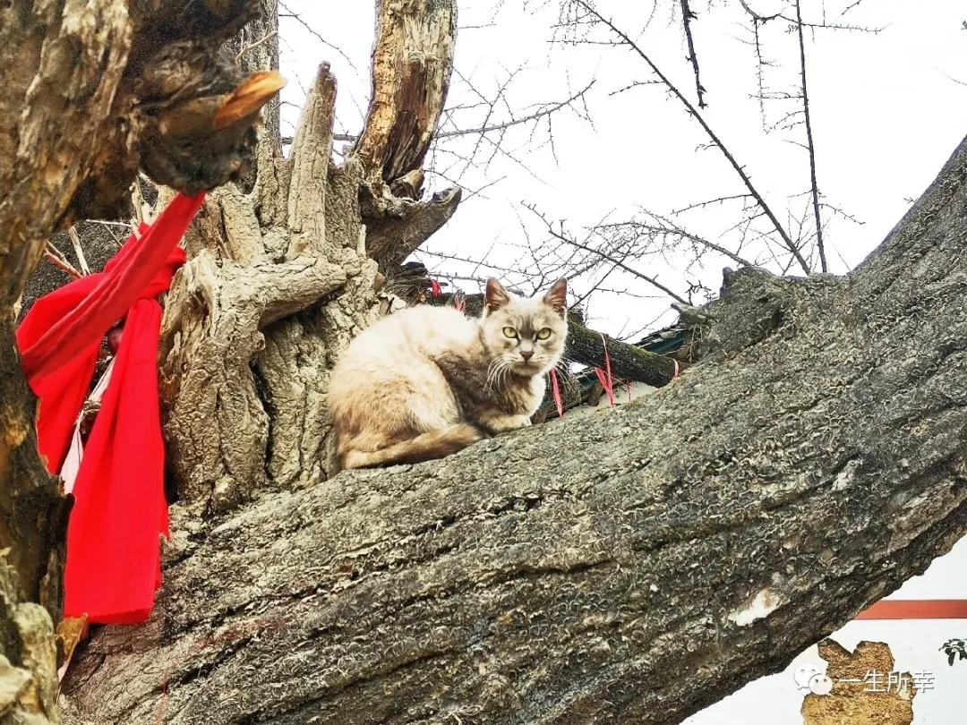 一川碧水,一川碧水一重山