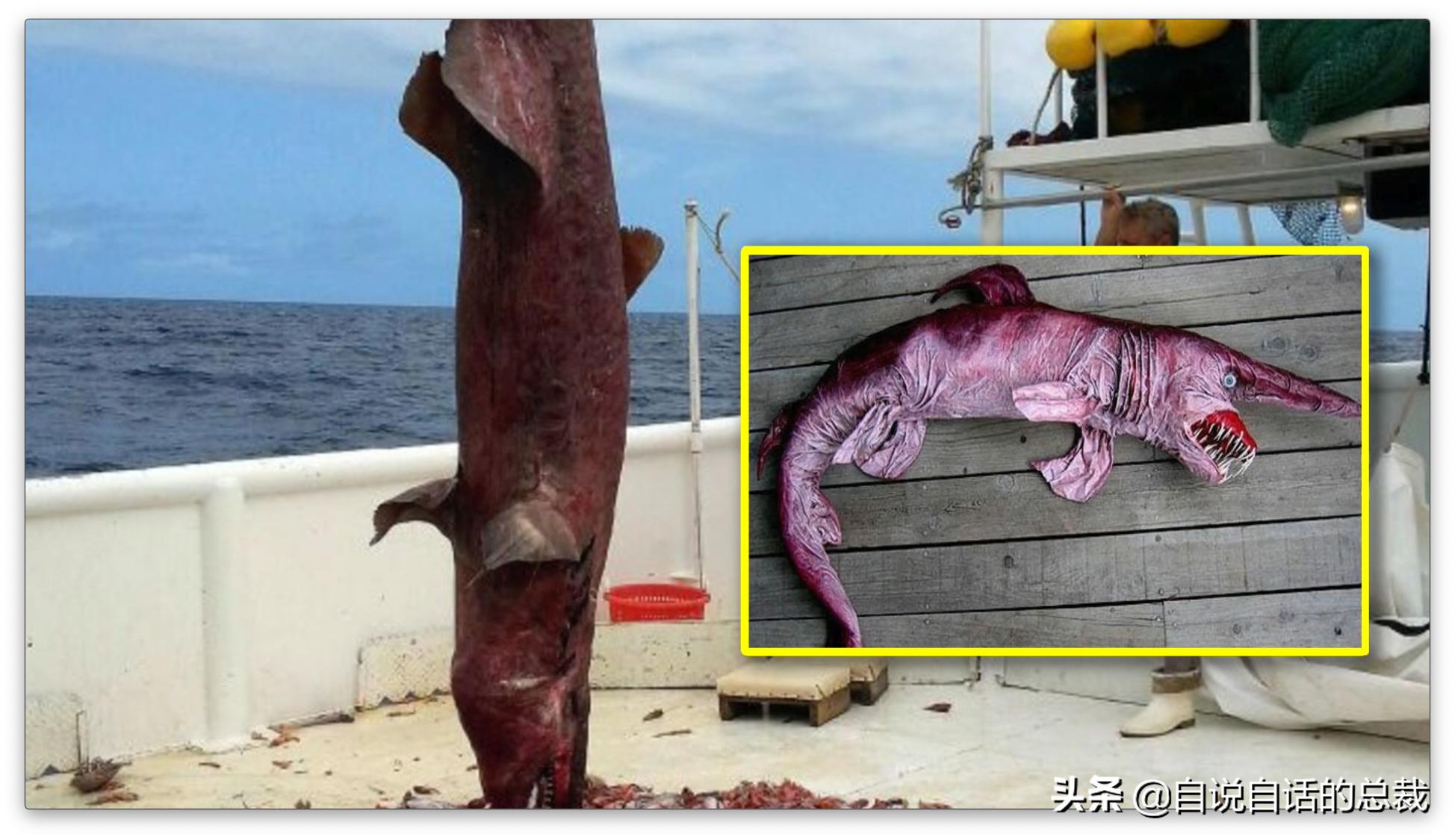 美国探测深海潜艇失踪事件,美国海神号发现了什么