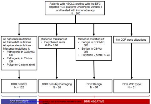 DNA损伤修复基因突变好免疫治疗关系