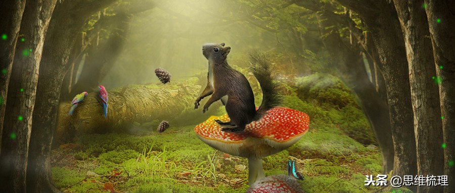 松鼠症必读知识大全,如何解决松鼠病