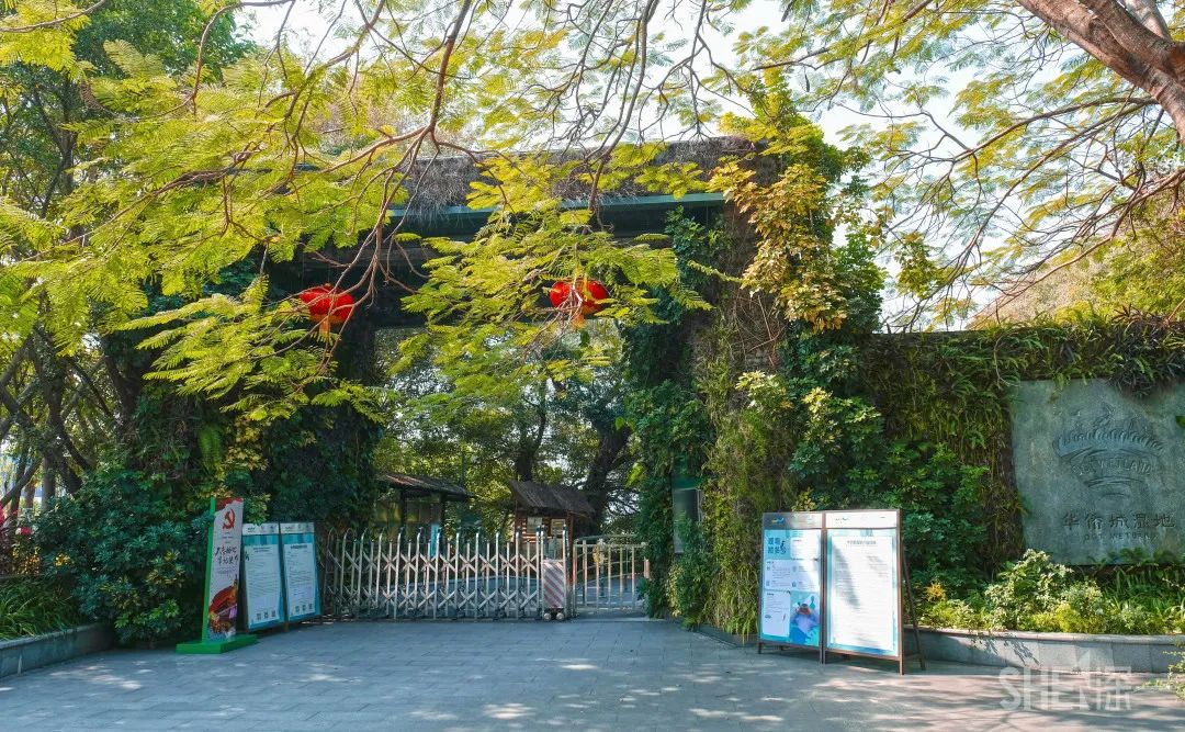 疫情期间免费开放的公园,疫情期间开放的公园有哪些