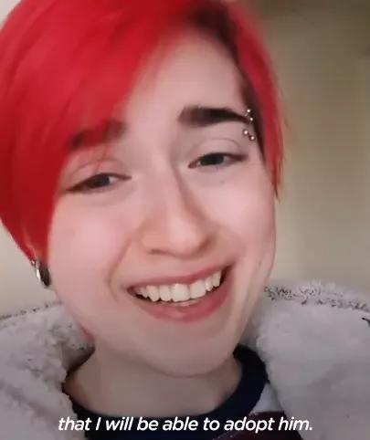 养了十多天的猫损失了几万元,偷偷养只猫最后全军覆没