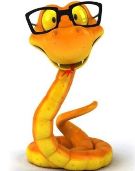 为什么杀蛇要埋蛇头？这就是真相