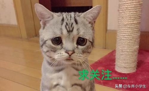 起亚全新狮跑被曝,起亚狮跑初代