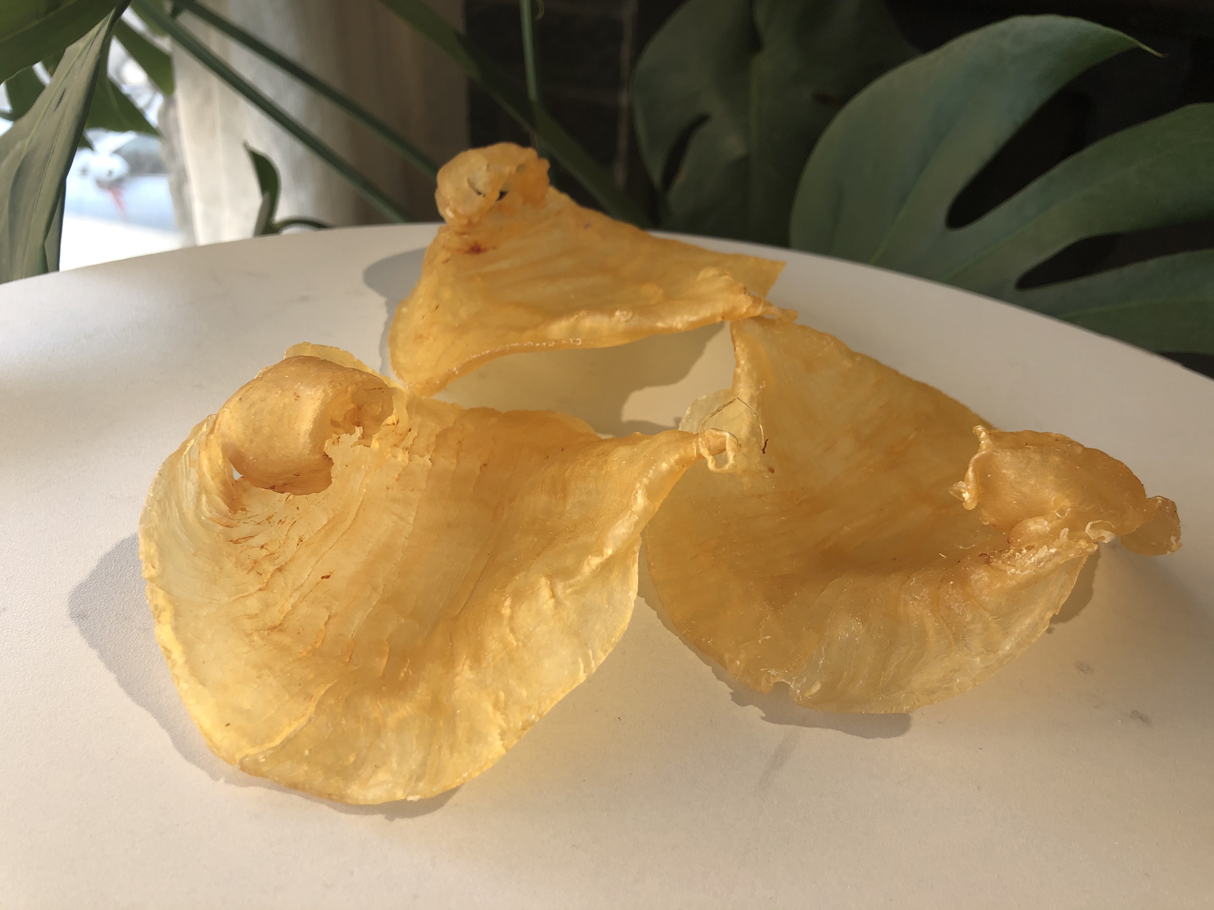 家庭食用哪种黄花胶比较好,官栈轻食花胶和即食花胶区别