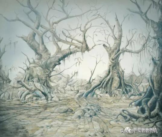 幼儿园教师必读的绘本,适合幼儿教师看的绘本