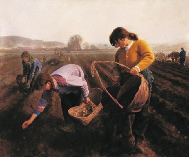 九大美院服装设计,鲁迅美术学院在全国美术学院排名