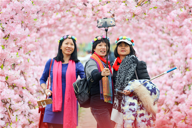 佛山三八妇女节出游,三八佛山旅游