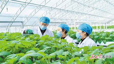 【决战决胜脱贫攻坚】书写决战脱贫攻坚的春天答卷——甘肃全力推进脱贫攻坚任务落实纪实