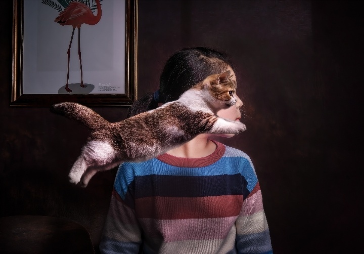 在米拍聚众吸猫吸狗是一种怎样的体验？