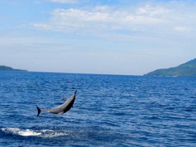 岛民旅游攻略,美娜多旅游详细攻略