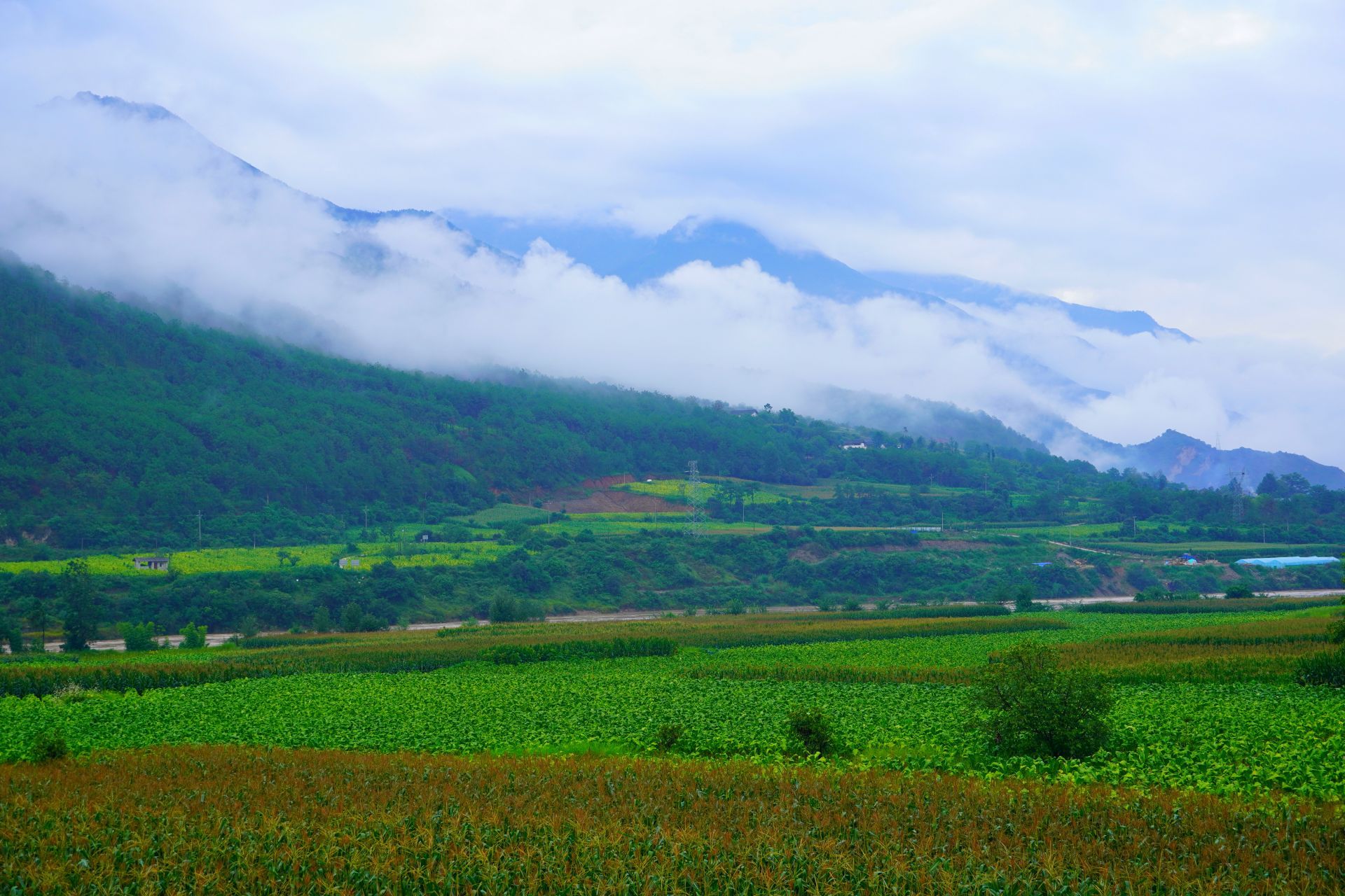 “乡”约丽江塔城,这里有你向往的田园生活