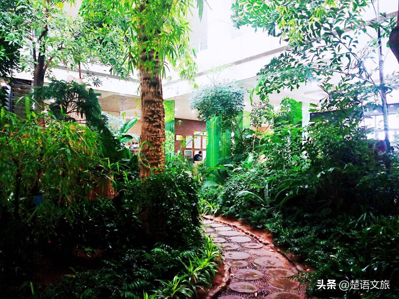 济南泉口湿地森林公园,济南南部山区森林公园推荐