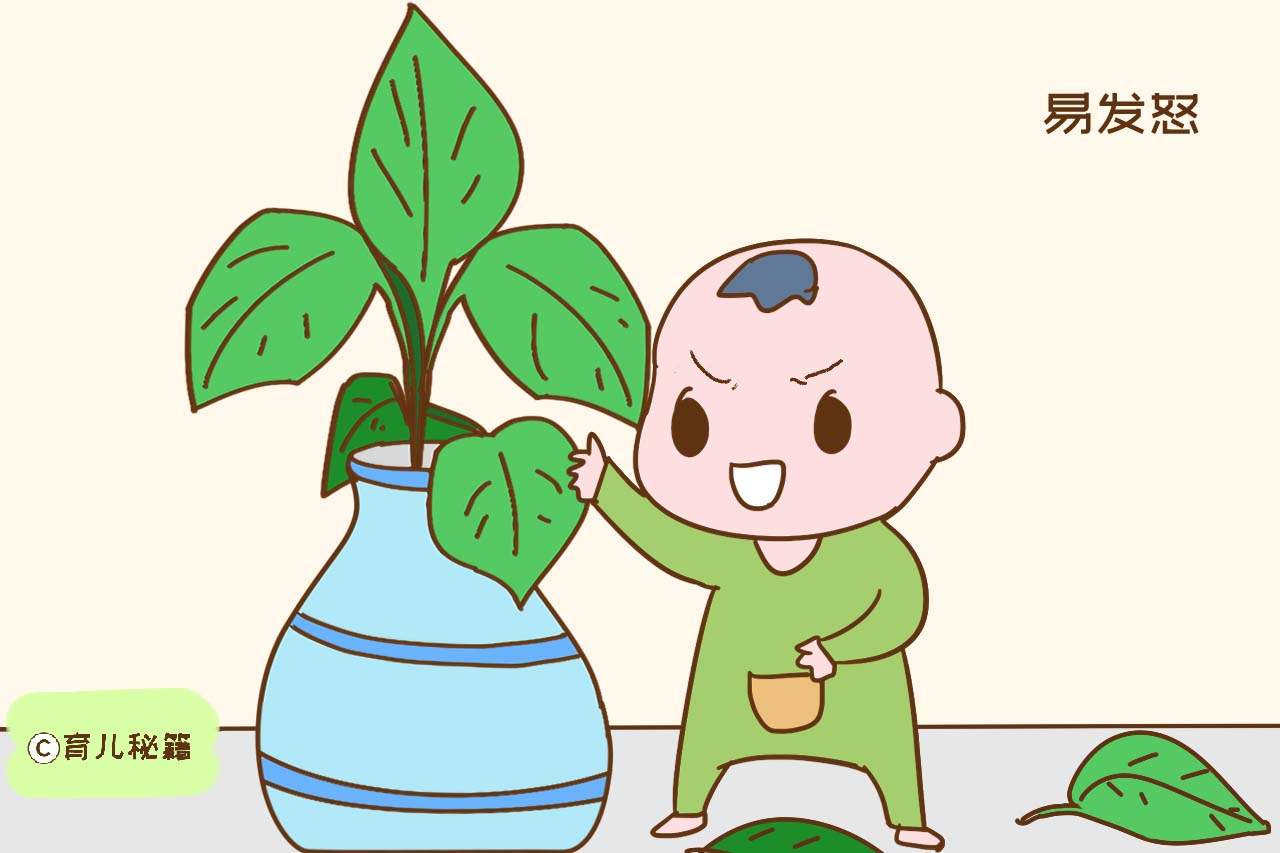 如何正确给宝宝断奶方法实用易懂,隔离式断奶