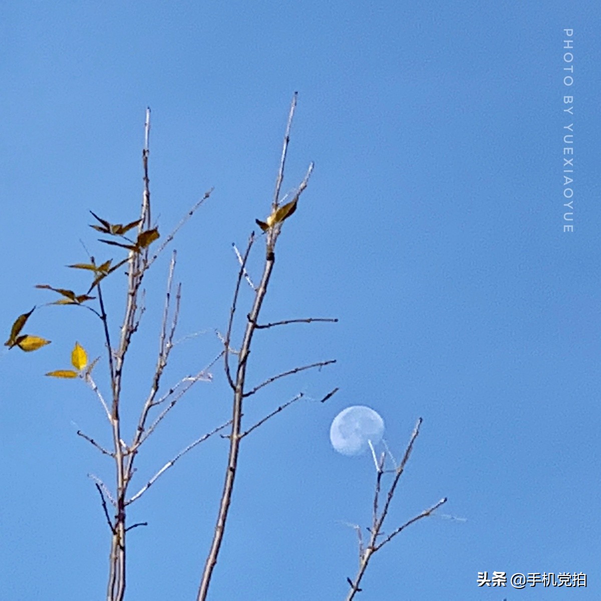 手机摄影中的变焦,手机摄影有广角吗