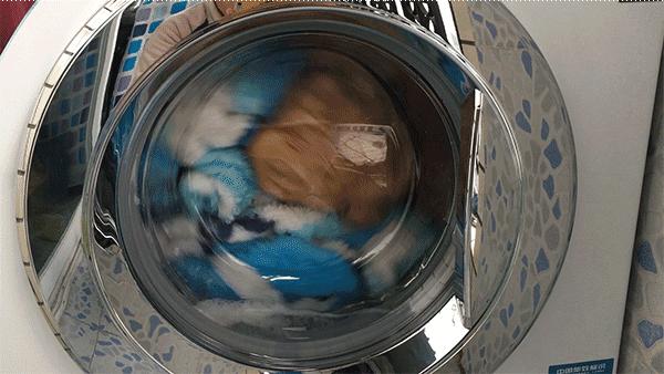 羽绒服反季皮衣怎么洗涤,皮衣羽绒服怎么打理