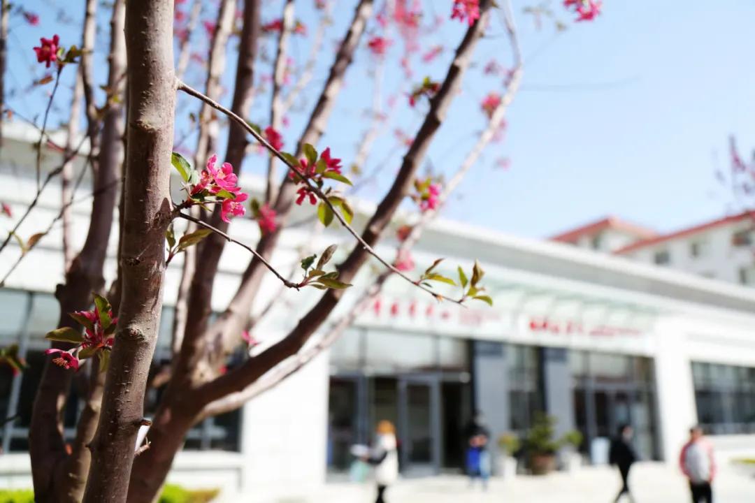 靶向治疗长久之计,中医界里的靶向治疗