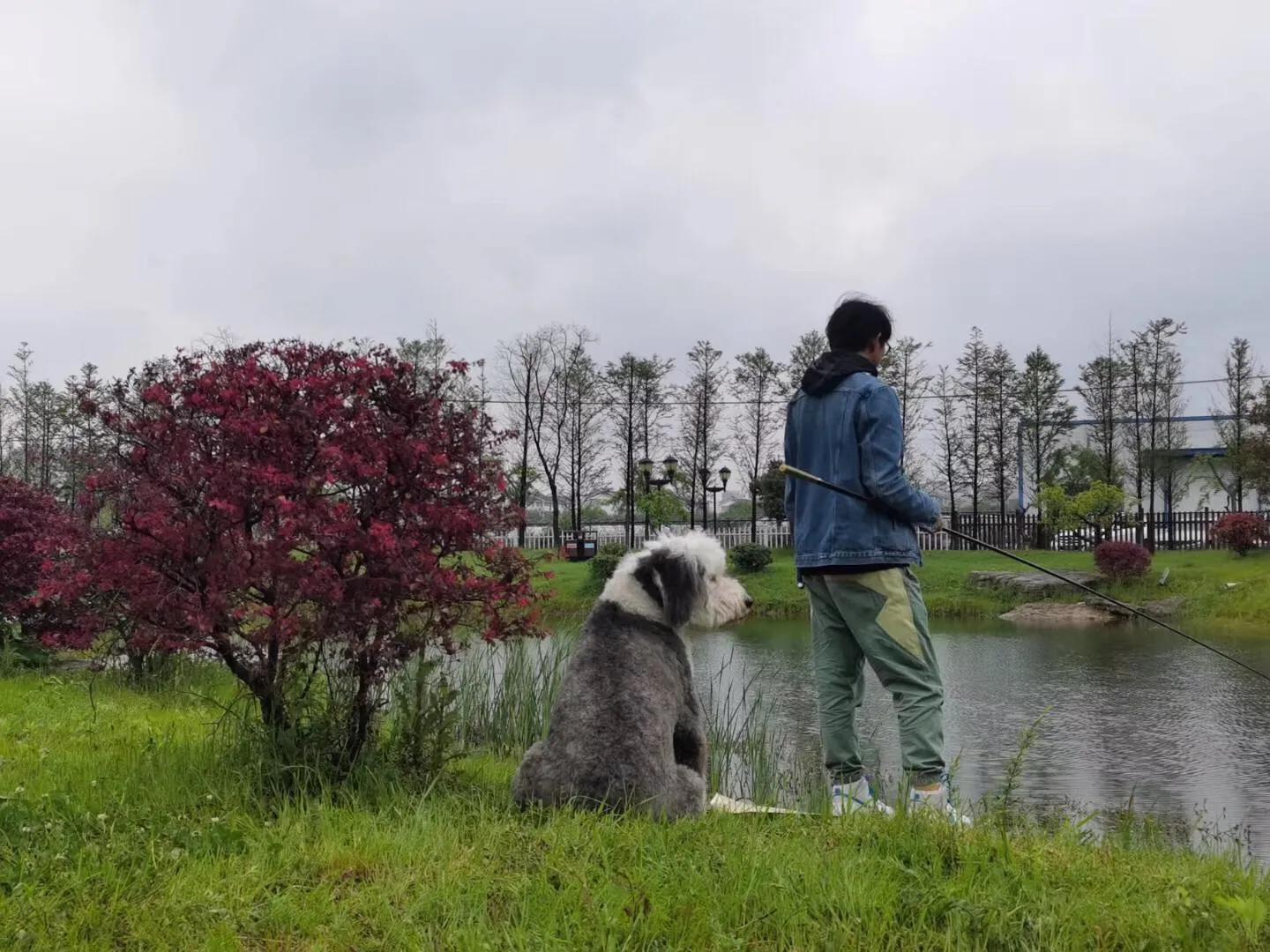 来欣赏一下庄园美景,湘湖小隐美景图片