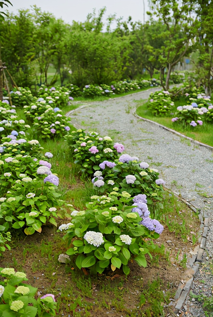 美到犯规！这个500亩的有机庄园，成三产融合教科书