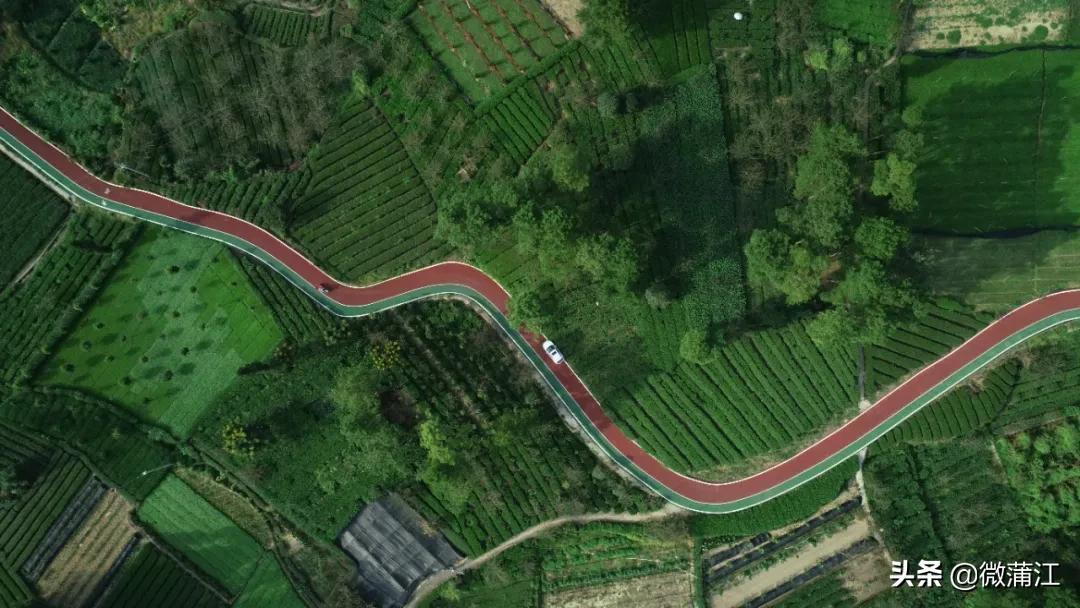 蒲江打造公园,蒲江田园生态区