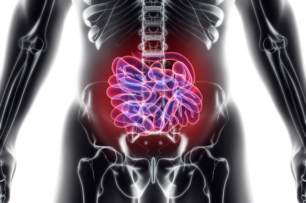 医生得了慢性肾炎,慢性肾炎医生开了硫酸羟氯喹片