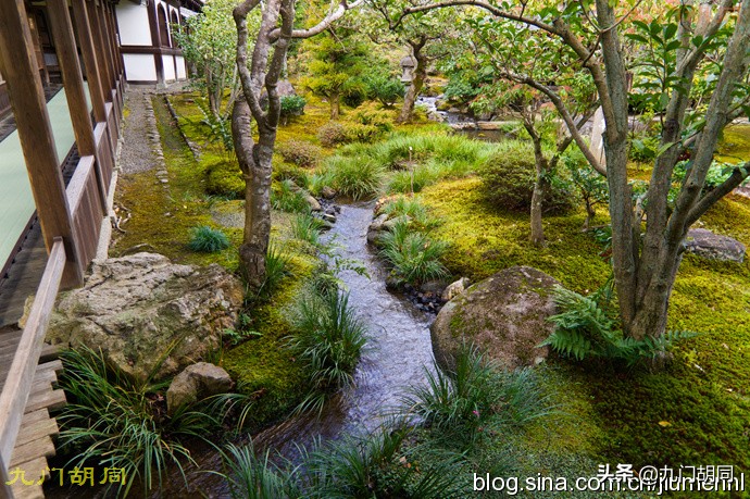 足利高氏进京见醍醐天皇,足利尊氏和后醍醐天皇的关系