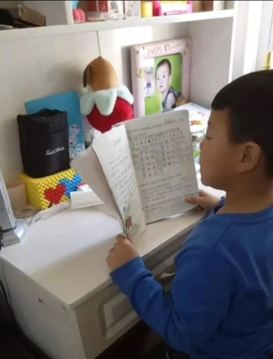 延安兰家坪小学新闻,延安市兰家坪小学排行