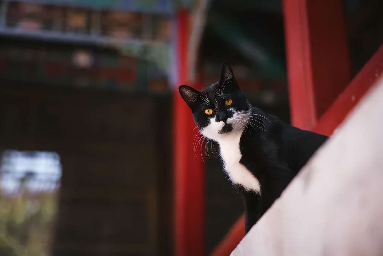 连用90天，拍摄近千G。EOSR5发布三个月后的使用报告