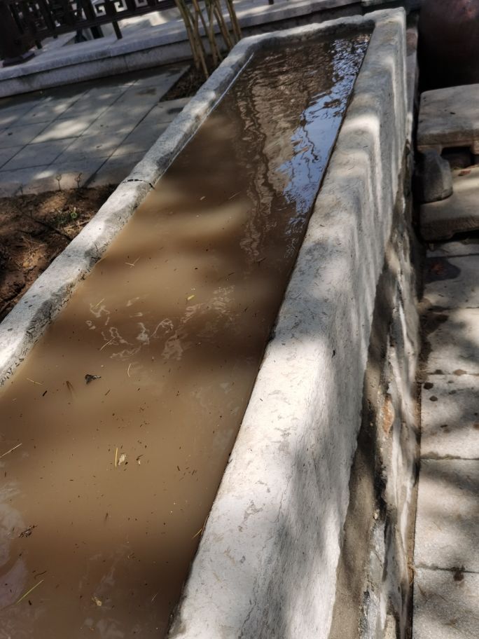 紫清山房琐记（135）栽种睡莲