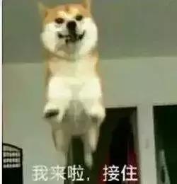 薪酬高的工作,薪资高工作