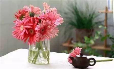 过期药的妙用,过期药品的妙用有哪些