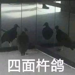 周末宅家最强攻略，B站有史以来最精彩的直播你一定不能错过