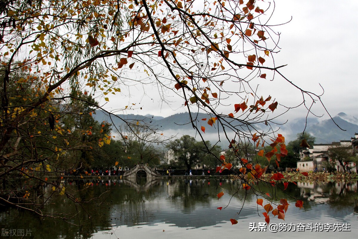 春花秋月梦回青春,花开花落梦回青春