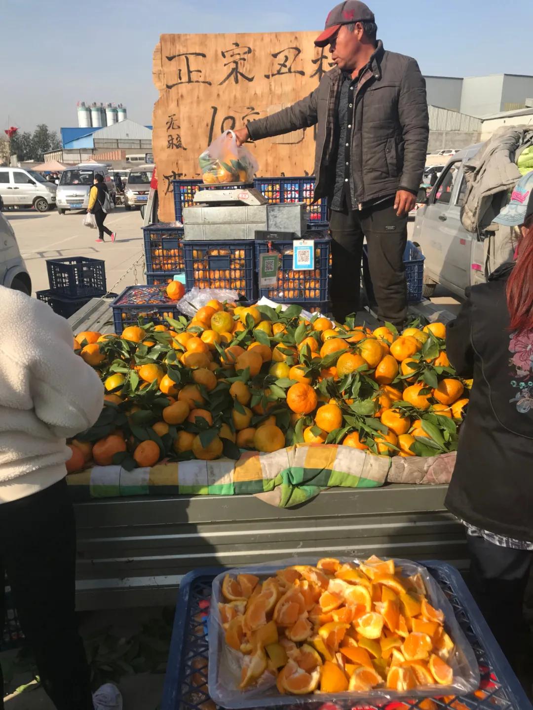 周边最便宜的大集在哪里,10元一两的大集