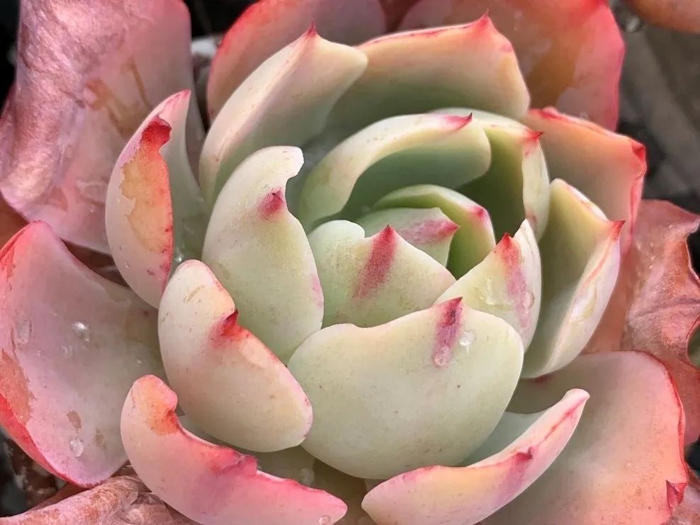 禁足的日子收获颇多,禁足