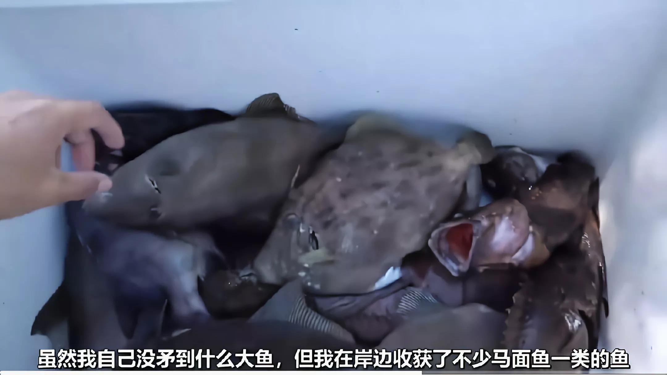 钓不到鱼正确的理解方式,钓不到鱼该怎么说