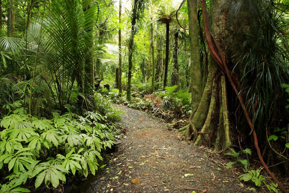 多米尼克，除了是“避税天堂”，还有很多你不知道的冷知识