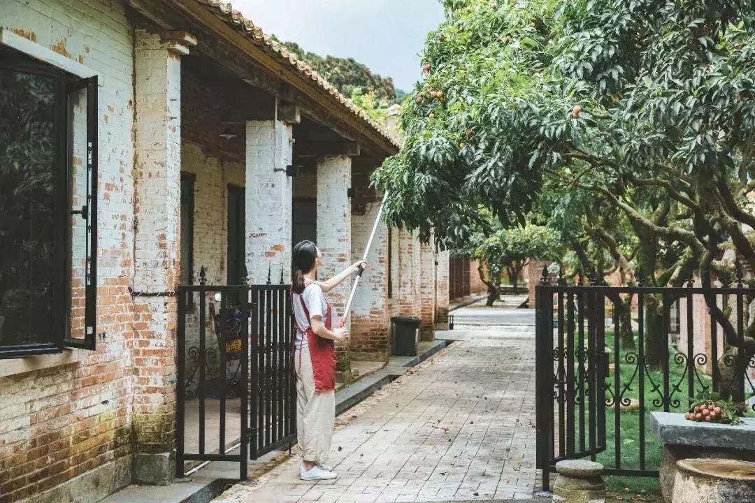 放弃世界顶尖银行工作，他回村当木匠，在废墟上盖出了爆美小院！