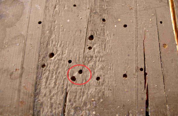 庄寨木业布局,庄寨实木木材