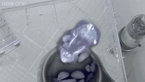 科普张姿势动图:感觉自己姿势又涨了100点