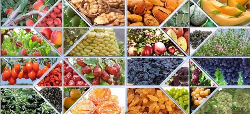 农业创业项目经营模式,农业创业必须看的10个技巧