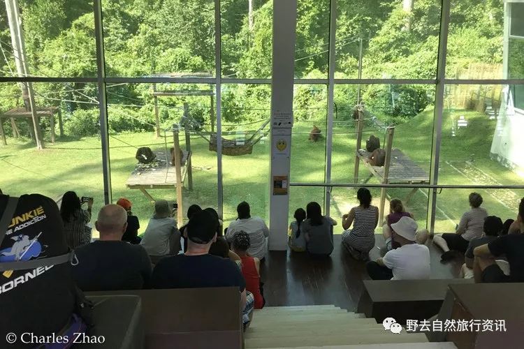 希望疫情早点结束能陪孩子多走走,待疫情彻底过去