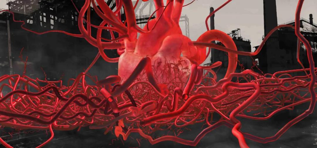 见地|张小涛:数字艺术的裂变——从媒体实验室到公共场域