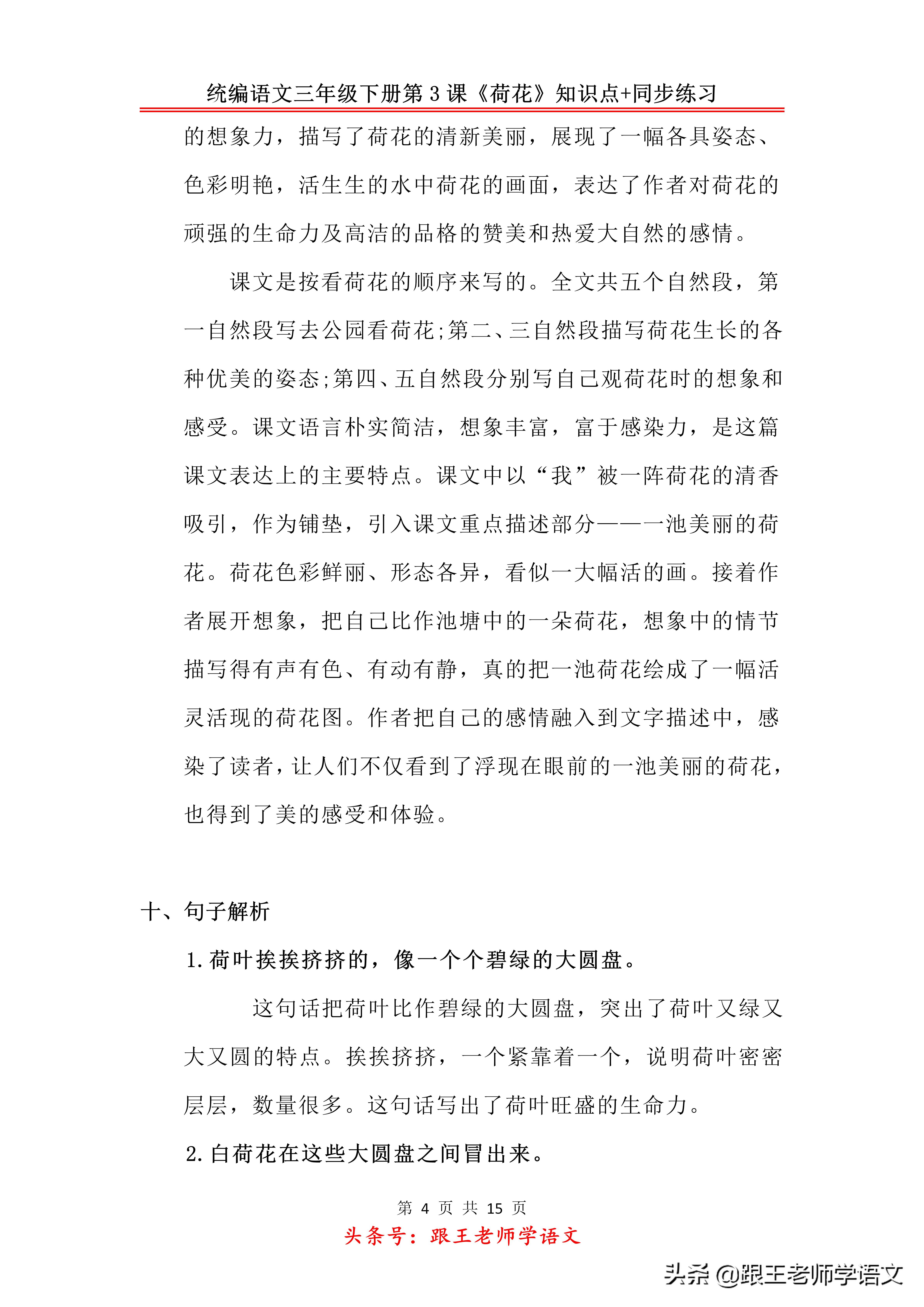 部编版三年级下册第三课荷花,部编教材三年级下册荷花教学视频