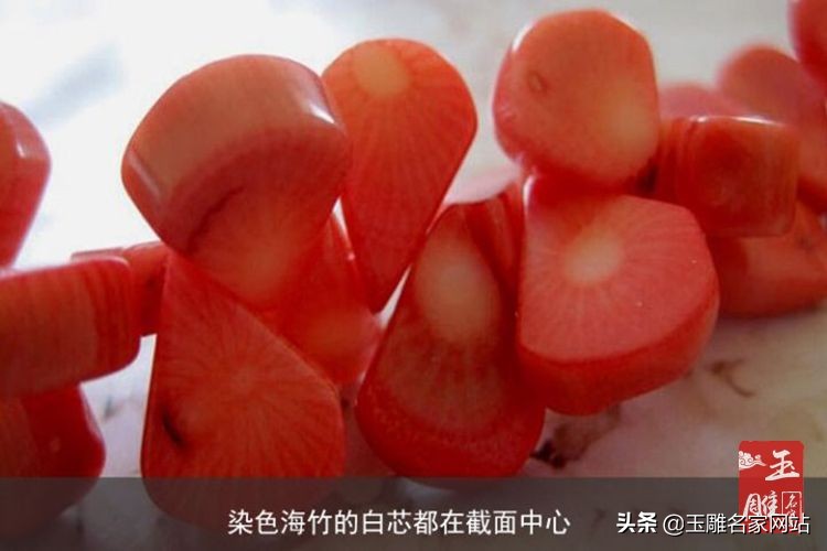 阿卡红珊瑚和红珊瑚有什么区别吗,红珊瑚放水时冒气泡是真红珊瑚吗