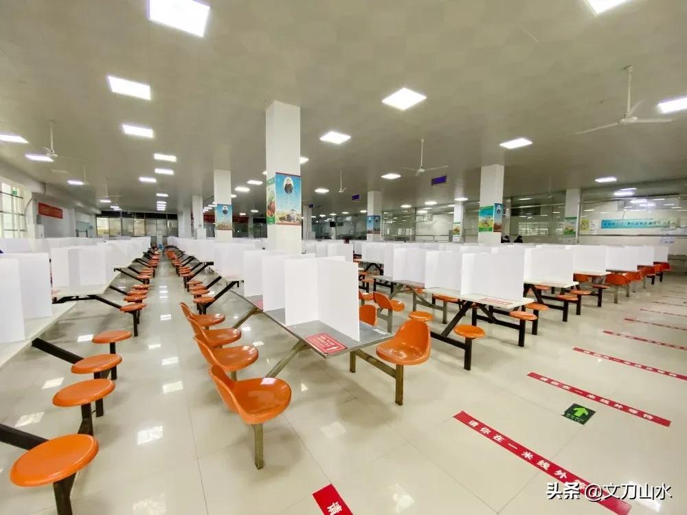 郑州市小升初民办学校报名人数,郑州小升初2019民办初中招生计划