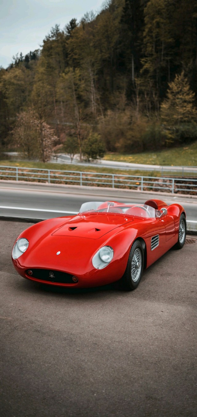 爱丽丝梦游仙境壁纸樱花校园,手机壁纸樱花